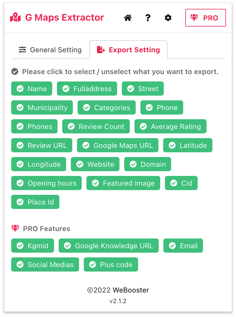 gmapsextractor-export-setting